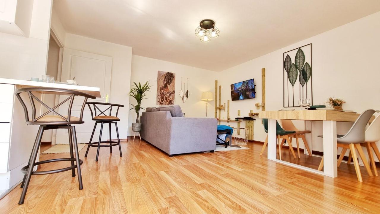 Le Stan - Centre - Parking - Exterieur - Fibre - Relax Bnb 科尔马 外观 照片